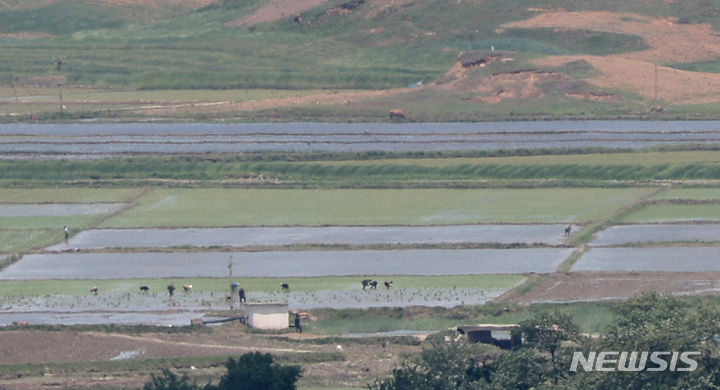 [인천=뉴시스] 전진환 기자 = 맑은 날씨를 보인 18일 오후 인천 강화군 강화평화전망대에서 바라본 북한 황해북도 개풍군의 한 마을 인근 논에서 주민들이 모내기를 하고 있다. 2024.05.18. amin2@newsis.com
