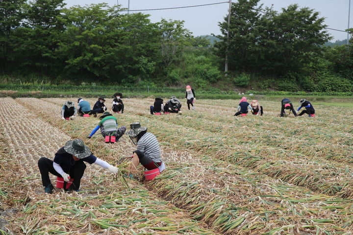 [산청=뉴시스] 산청군청 *재판매 및 DB 금지 *재판매 및 DB 금지