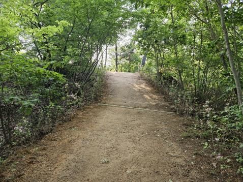 [울산=뉴시스] 박수지 기자 = 울산 동구 염포산 테마 숲길 조성사업 가운데 녹수초등학교~안산사거리 철탑까지 1.2㎞ 구간. (사진=동구 제공) 2024.05.20. photo@newsis.com *재판매 및 DB 금지