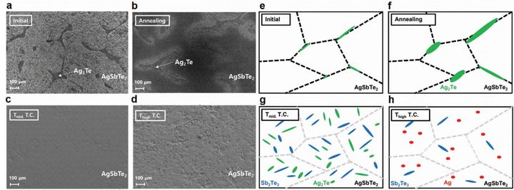[서울=뉴시스] AgSbTe2의 열처리 조건에 따른 다양한 상분리 상태의 전자현미경 사진 및 모식도. (사진=경희대 제공) *재판매 및 DB 금지