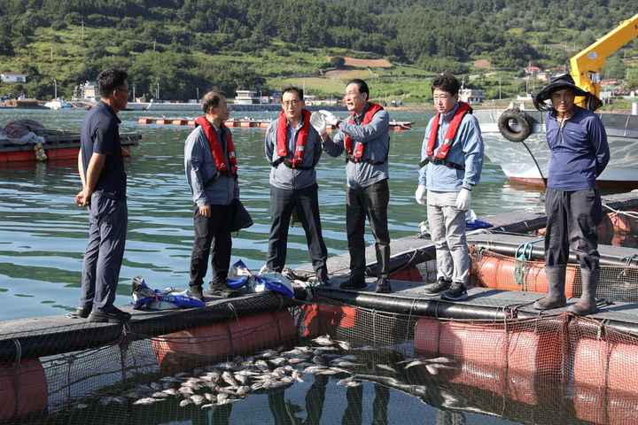 노동진 수협중앙회장(오른쪽에서 세 번째)이 지난해 8월25일 전남 여수시 돌산읍 군내리의 한 양식장을 찾아 고수온 피해 상황을 점검하고 있다. *재판매 및 DB 금지