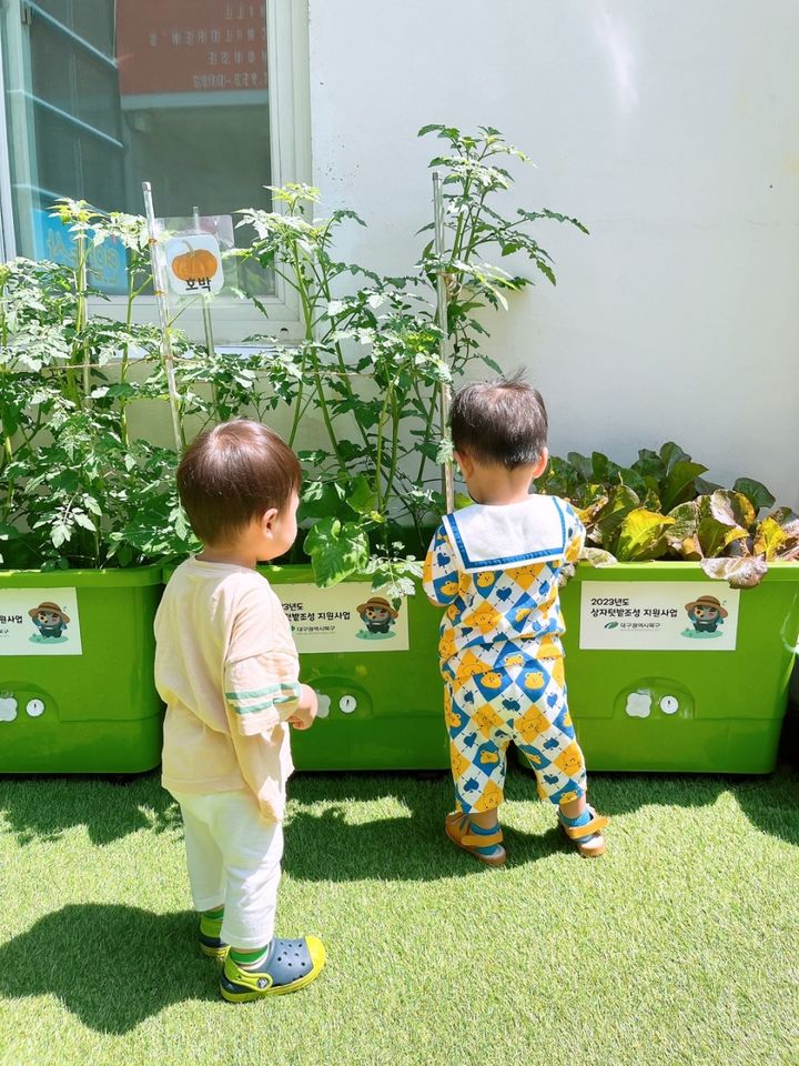 [대구=뉴시스] 대구시 북구 연암어린이집에 분양된 상자텃밭. (사진=대구시 북구 제공) 2024.05.21. photo@newsis.com *재판매 및 DB 금지