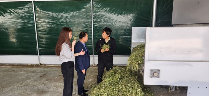 [논산=뉴시스]논산시는 21일 부적면 왕덕리 소재의 한 농가에서 ‘알팔파 열풍건초 생산’ 연시회를 개최했다. 2024. 05. 21  *재판매 및 DB 금지