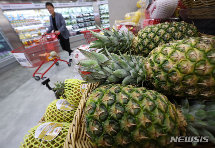[서울=뉴시스] 김금보 기자 = 서울시내 대형마트에 진열된 파인애플. 2024.05.21. kgb@newsis.com