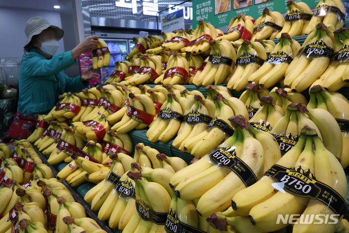 바나나·망고 먹어볼까…대형마트, 할당관세 효과에 수입과일 가격↓