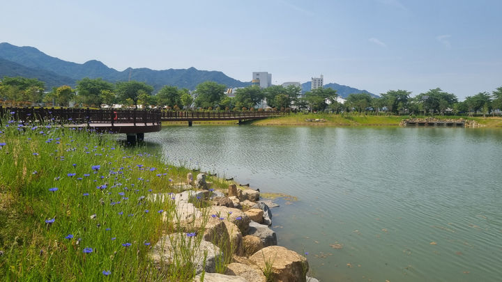 [곡성=뉴시스] 전남 곡성군 곡성읍 묘천리 '뚝방생태공원'. (사진=곡성군청 제공). photo@newsis.com *재판매 및 DB 금지