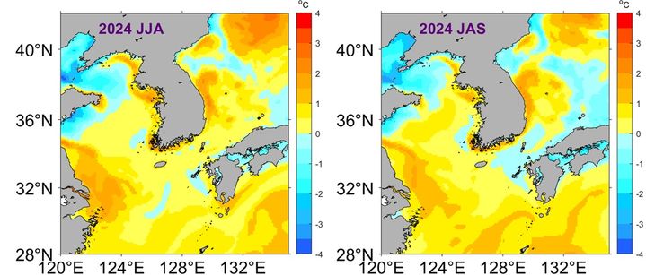 [부산=뉴시스] 국립수산과학원(수과원)이 예측한 올여름 표층수온 평년 편차 분포. 왼쪽 6~8월, 오른쪽 7~9월. (그래픽=수과원 제공) 2024.05.22. photo@newsis.com *재판매 및 DB 금지