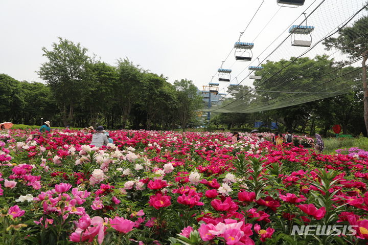 [서울=뉴시스]서울대공원은 오는 24일부터 열흘간 테마가든 장미원에서 '2024 장미원축제'를 연다고 23일 밝혔다. (사진=서울시 제공). 2024.05.23. photo@newsis.com 