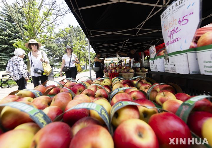 [토론토=신화/뉴시스] 캐나다 토론토에 있는 농산물 직판장에서 사과를 팔고 있다. 2024.05.22