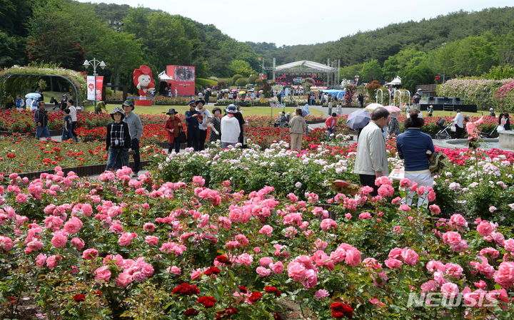 [울산=뉴시스] 배병수 기자 = ‘제16회 울산대공원 장미축제’가 22일 울산 남구 대공원 장미원 및 남문광장 일원에서 ‘러브스토리 인 울산’을 주제로 개막하였다. 장미원을 찾은 많은 시민들과 관광객들이 300만송이 장미향 가득한 장미꽃길을 거닐고 있다. 2024.05.22. bbs@newsis.com.