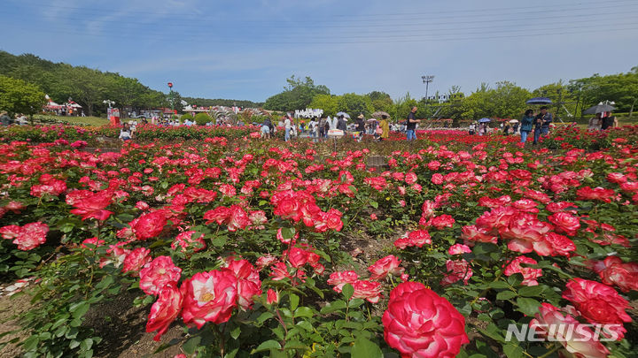 [울산=뉴시스] 배병수 기자 = ‘제16회 울산대공원 장미축제’가 22일 울산 남구 대공원 장미원 및 남문광장 일원에서 ‘러브스토리 인 울산’을 주제로 개막하였다. 장미원을 찾은 많은 시민들과 관광객들이 300만송이 장미향 가득한 장미꽃길을 거닐고 있다. 2024.05.22. bbs@newsis.com.