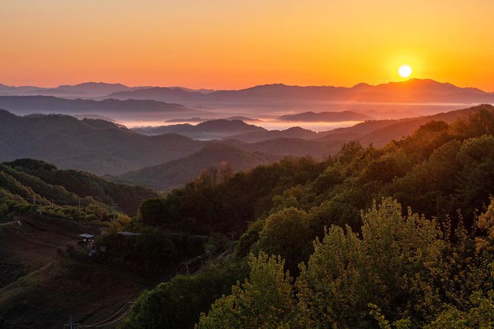 [서울=뉴시스] 육군은 22일 경기도 연천 육군 5사단 열쇠전망대에서 국방부출입기자단을 대상으로 GOP 대대 임무 현장을 언론에 공개했다. 사진은 육군 5사단 GOP에서 바라본 비무장지대(DMZ). (사진=육군 제공) 2024.05.23. photo@newsis.com *재판매 및 DB 금지