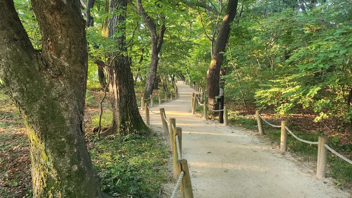 [함양=뉴시스] 서희원 기자= 함양군민이 자랑하는 천연기념물 제154호 상림 숲 .2024. 05. 27. shw1881@newsis.com *재판매 및 DB 금지