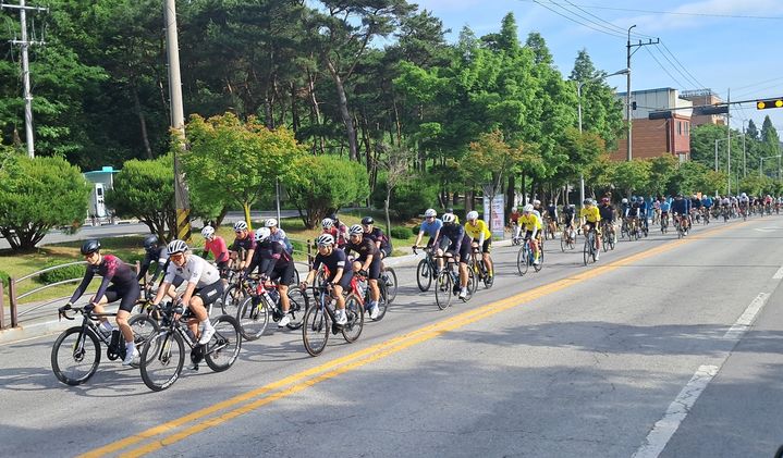 26일 열린 정읍 '내장산 그란폰도·메디오폰도 전국 자전거대회'에서 많은 참가 선수들이 도로 위를 달리고 있다. *재판매 및 DB 금지