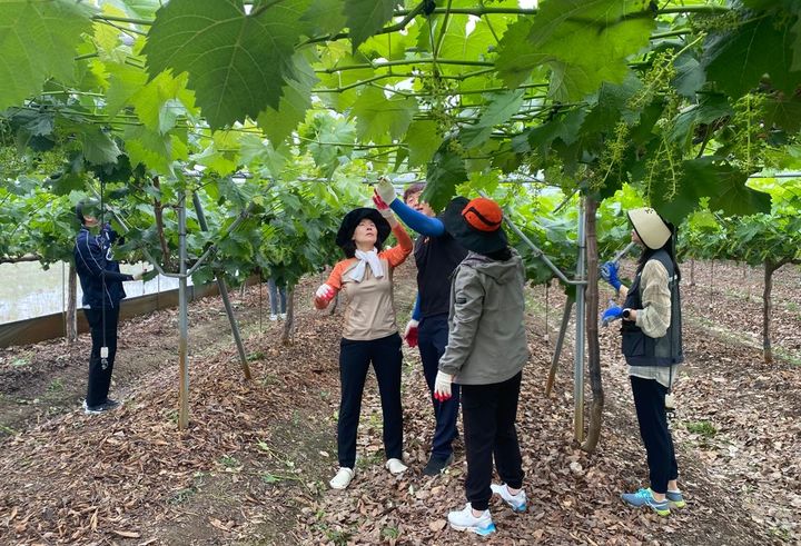 경산시 농촌진흥과 농촌일손돕기 *재판매 및 DB 금지