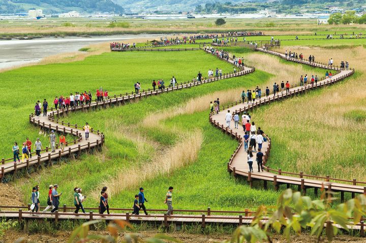 [무안=뉴시스] 순천만 나들이. (사진=전남도 제공) 2024.05.28. photo@newsis.com  *재판매 및 DB 금지