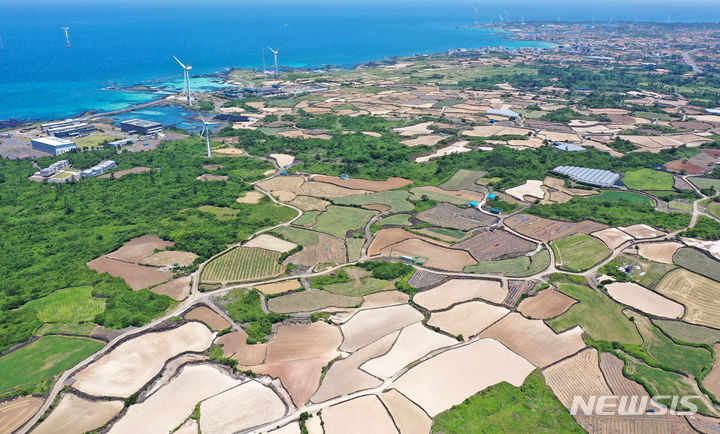 [제주=뉴시스] 우장호 기자 = 맑은 날씨를 보인 28일 오후 제주시 구좌읍 상공에서 바라본 제주 밭담(돌로 쌓은 밭의 경계)이 푸른 해안선과 조화를 이루며 그림을 그린 듯 아름다운 모습을 선보이고 있다. 2024.05.28. woo1223@newsis.com