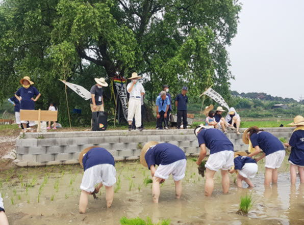 [함안=뉴시스] 함안화천농악과 함께하는 '함안생생마실. (사진=함안군 제공) 2024.05.30. photo@newsis.com *재판매 및 DB 금지