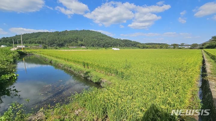 [고성(경남)=뉴시스] 둠벙 