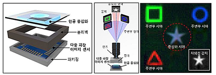 [대전=뉴시스] IBS 연구진이 개발한 새 눈을 모방한 카메라 모식도 및 측정 결과. 물체감지에 특화된 이 카메라는 인공중심와와 다중파장 이미지 센서로 구성돼 있어 멀리있는 물체를 선명하게 감지할 수 있고 색도 구분해 인식가능하다.(사진=IBS 제공) *재판매 및 DB 금지