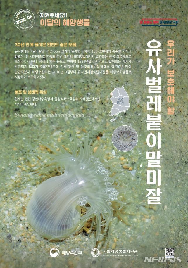[서울=뉴시스] 6월 해양생물. 