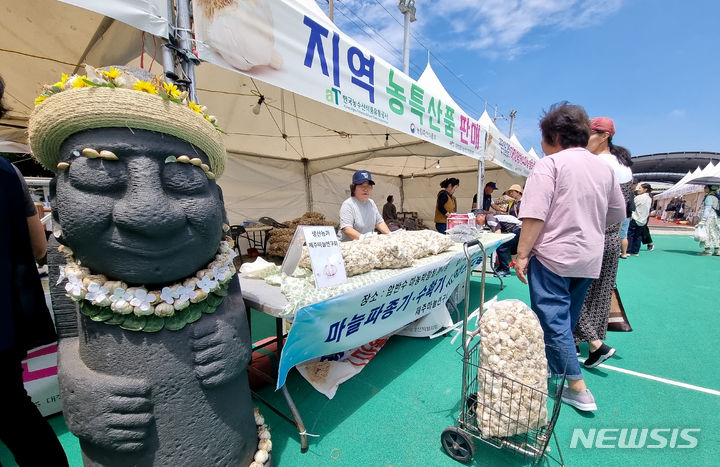 [서귀포=뉴시스] 우장호 기자 = 1일 제주 서귀포시 대정읍 하모체육공원 일원에서 대정농협과 대정암반수마농박람회위원회 주관으로 '2024 제10회 대정 암반수 마농 박람회'가 열리고 있다. 대정읍 지역은 전국 마늘 생산량의 10% 이상(제주도 전체 생산량의 약 70%)을 차지하고 있는 마늘 주 생산지다. 2024.06.01. woo1223@newsis.com