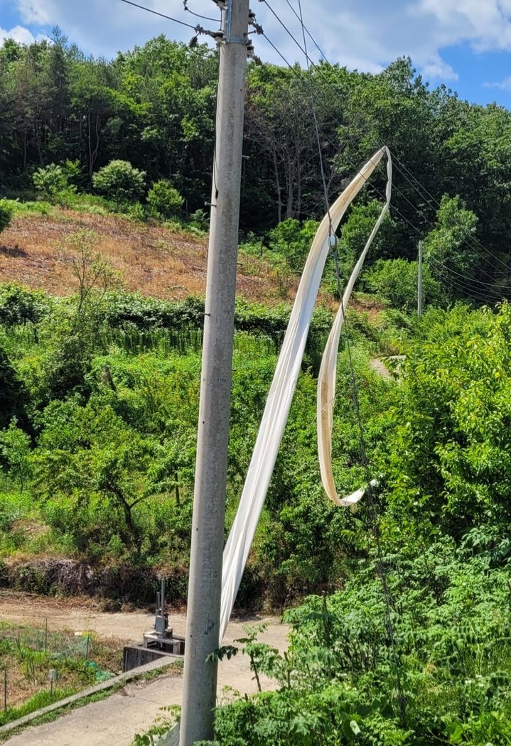 [진주=뉴시스] 정경규 기자 = 2일 오후1시30분께 경남 진주시 미천면 반지리 화개사 주변 농로에서 북한 오물풍선이 하늘에서 터진 후 전깃줄에 걸렸다. (사진=독자제공).2024.06.02.photo@newsis.com *재판매 및 DB 금지