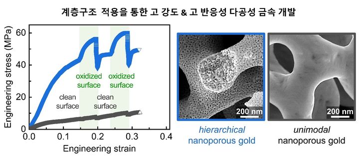 계명대, 계층구조 적용한 다공성 재료 기계적 강도 향상 국제학술지 게재 *재판매 및 DB 금지