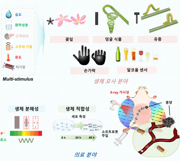[광주=뉴시스] 조선대 연구팀 등이 개발한 의료로봇 개념 *재판매 및 DB 금지