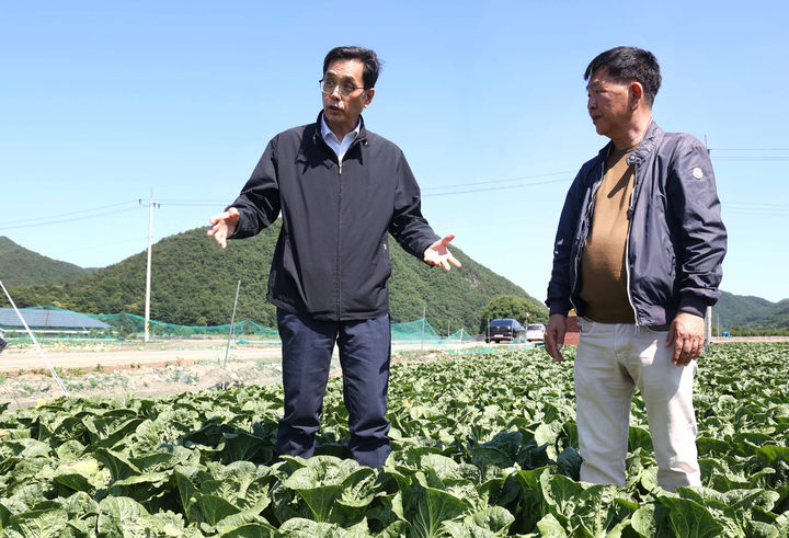 [서울=뉴시스] 한훈(왼쪽) 농림축산식품부 차관이 4일 봄배추 주산지인 경북 문경시 농암면을 방문해 봄배추 작황을 점검하고 있다. (사진=농림축산식품부 제공) 2024.06.04. photo@newsis.com *재판매 및 DB 금지