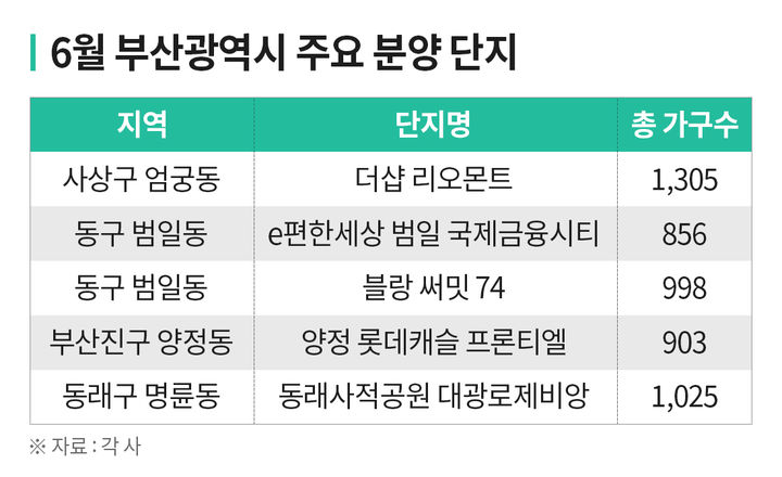 [서울=뉴시스] 5일 부동산시장 분석업체 부동산인포에 따르면, 이달 부산에서는 청약 단지를 포함해 총 3796가구가 일반분양된다. (사진=부동산인포) 2024.06.05. photo@newsis.com *재판매 및 DB금지 *재판매 및 DB 금지