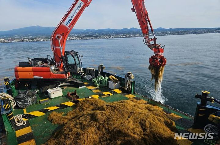 [서울=뉴시스] 어항관리선 어항제주1호에서 괭생이모자반을 수거하는 모습. (사진=뉴시스 DB) photo@newsis.com