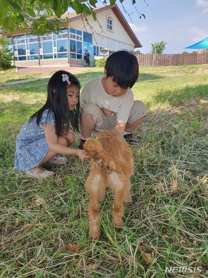[세종=뉴시스] 김동현 기자 = 안성팜랜드 내에 위치한 방목장에서 뛰어놀고 있는 새끼 유산양에게 아이들이 먹이를 나눠주고 있다.2024.06.06