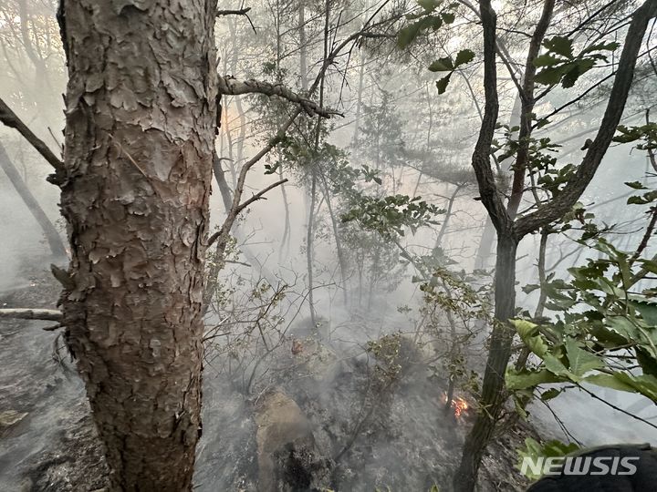 [인천=뉴시스] 인천 강화군 양사면 덕하리 한 야산에서 불이 나고 있다. (사진=인천소방본부 제공) 2024.06.10. photo@newsis.com