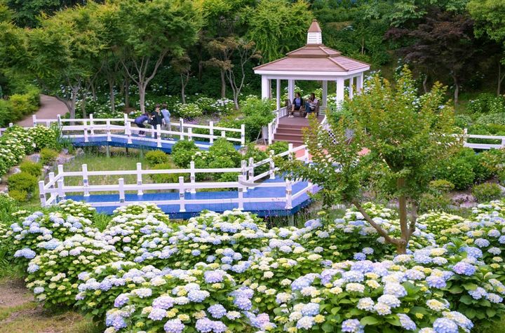 [울산=뉴시스] 울산 남구 장생포 오색수국정원 전경. (사진=울산 남구 제공) photo@newsis.com *재판매 및 DB 금지
