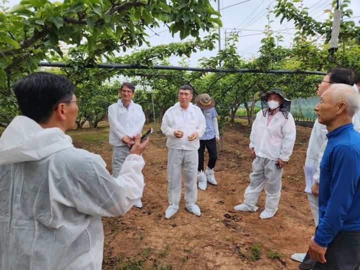 [무안=뉴시스] 배 재배농가 찾은 최명수 전남도의원. (사진=전남도 제공) 2024.06.10. photo@newsis.com *재판매 및 DB 금지