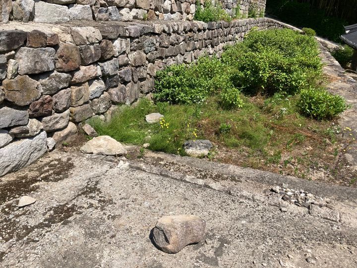 [서울=뉴시스] 부안 내소사 일원 (사진=국가유산청 제공) 2024.06.12. photo@newsis.com *재판매 및 DB 금지