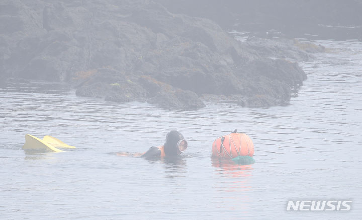 [제주=뉴시스] 우장호 기자 = 제주 해안가를 중심으로 짙은 안개가 드리워진 12일 오전 제주시 용담동 인근 해상에서 해녀가 물질을 하고 있다. 2024.06.12. woo1223@newsis.com