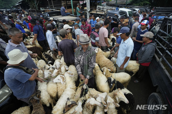 [종골=AP/뉴시스] 13일(현지시각) 인도네시아 서자바주 종골의 한 축산시장에서 사람들이 이드 알 아드하 명절을 앞두고 제물로 사용할 양과 염소 등을 팔고 있다. '이드 알 아드하'는 아브라함이 신의 뜻에 따라 아들인 이스마엘을 제물로 바치기 위해 목을 베려는 순간 그의 믿음을 본 하느님이 아들 대신 양을 제물로 바치라고 한 것에서 유래한 것으로 이 기간에 무슬림들은 양과 소, 낙타 등을 제물로 바친 후 그 고기를 가난한 이웃, 친구들과 나눈다. 세계 최대의 이슬람 국가인 인도네시아는 오는 17일 '이드 알 아드하'를 맞는다. 2024.06.13.