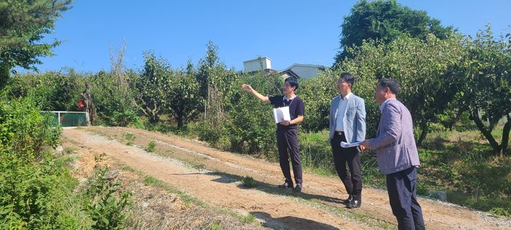 [세종=뉴시스] 조치원읍 봉산리 농지 토지거래허가 이용실태 조사 모습.(사진=세종시). 2024.06.13. *재판매 및 DB 금지