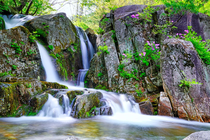 [거창=뉴시스] 거창군청 월성계곡 *재판매 및 DB 금지 *재판매 및 DB 금지
