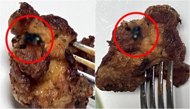 (사진=사건반장 보도 영상 캡처) *재판매 및 DB 금지