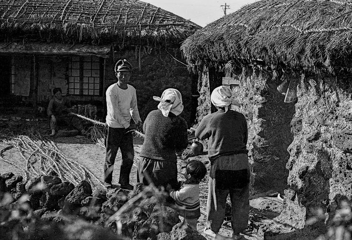 [제주=뉴시스] 고영일 '줄 놓기, 수근동' *재판매 및 DB 금지