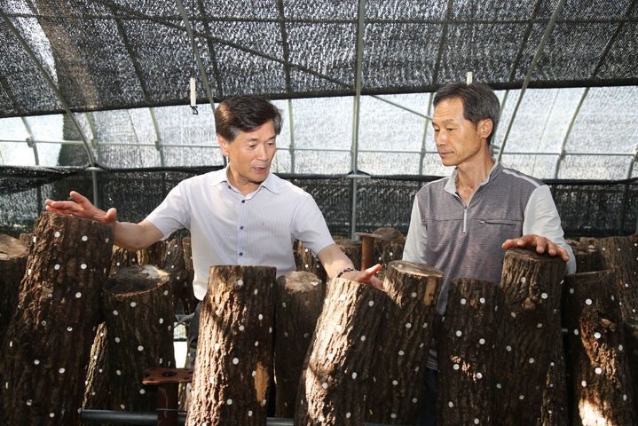 [밀양=뉴시스] 안병구 경남 밀양시장이 14일 청정표고마실을 방문해 표고버섯농장을 둘러보고 있다. (사진=밀양시 제공) 2024.06.15. photo@newsis.com&nbsp;&nbsp; *재판매 및 DB 금지
