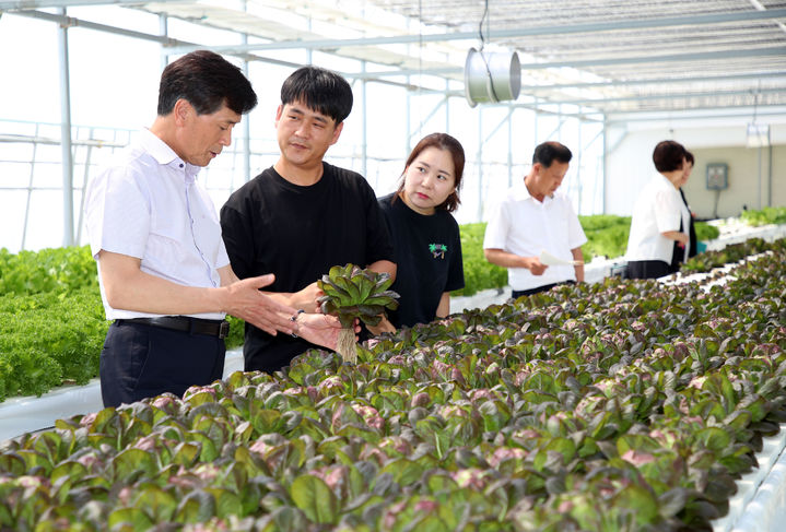 [밀양=뉴시스] 안병구 경남 밀양시장이 14일 샐러드 채소 스마트팜 친환경 재배 시범 사업장을 방문해 농업인과 대화를 나누고 있다. (사진=밀양시 제공) 2024.06.15. photo@newsis.com&nbsp;&nbsp; *재판매 및 DB 금지