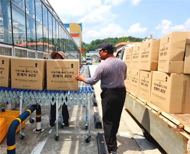 [진주=뉴시스]경남 약용자원연구소, 도라지·더덕 우량 묘 분양 완료. *재판매 및 DB 금지