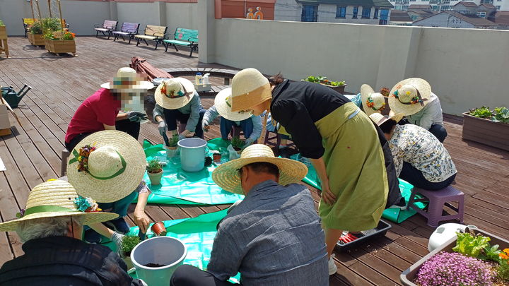 [거제=뉴시스] ㅎ신정철 기자= 거제시 치매안심센터(센터장 구신숙)는 제3기 치매가족 및 보호자 지원 프로그램 참여자를 모집한다고 17일 밝혔다. 사진은 지난 13일 종료된 제2기 프로그램 옥상텃밭 가꾸기 운영 모습.(사진=거제시 제공).2024.06.17. photo@newsis.com *재판매 및 DB 금지
