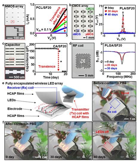 [서울=뉴시스] 고효율 생분해성 보호막의 전자소자로의 응용 (사진=고려대 제공) *재판매 및 DB 금지