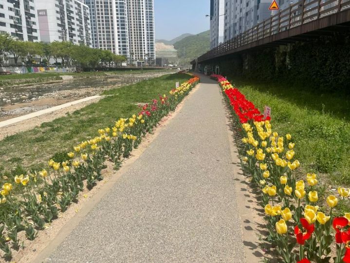 [양산=뉴시스] 회야강 산책로 초화류 조성지 전경. (사진=양산시 제공) 2024.06.19. photo@newsis.com *재판매 및 DB 금지