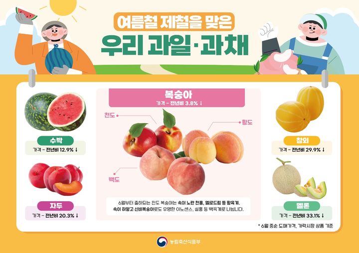 농림축산식품부가 설명한 제철 과일·과채 가격을 보면 이달 중순 가락시장 상(上)품 도매가격 기준으로 수박은 전년 대비 12.9%, 자두는 20.3%, 참외는 29.9%, 멜론은 33.1% 하락했다. 복숭아 역시 전년보다 3.8% 하락했는데, 천도복숭아는 이달부터 출하된다. (자료 = 농식품부 제공) 2024.06.19. *재판매 및 DB 금지